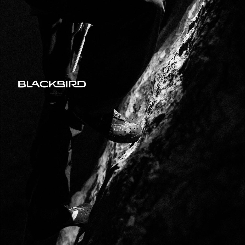 Scarpa Blackbird