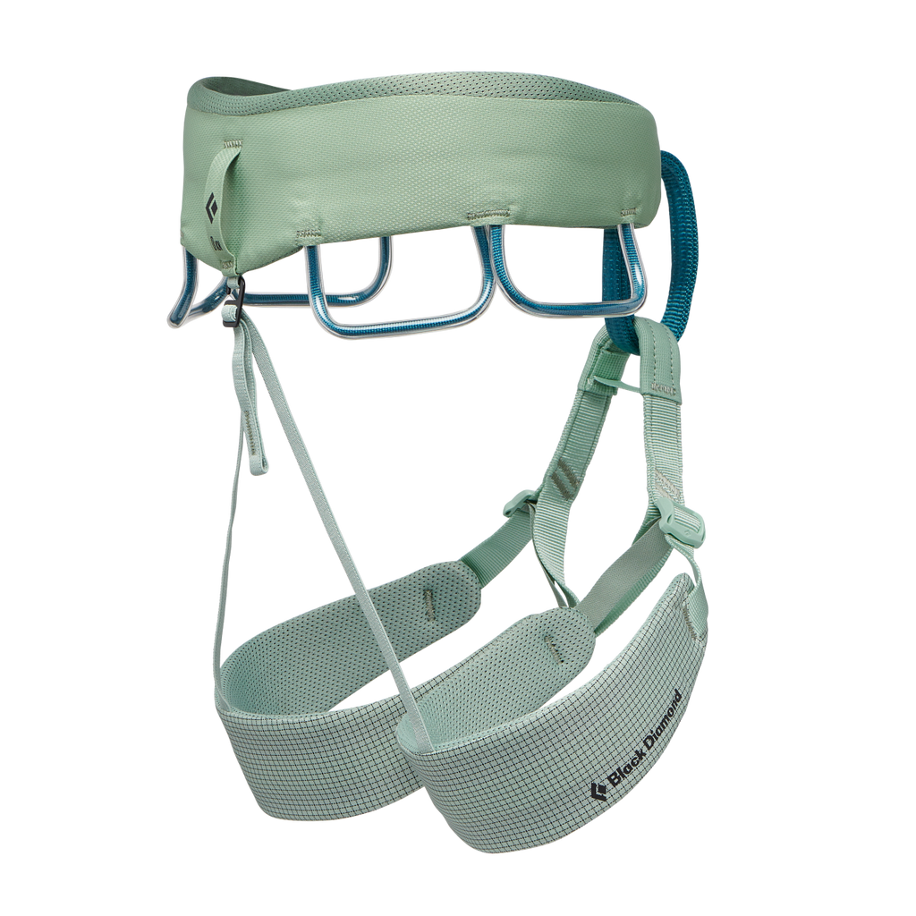Black Diamond Momentum Harness Package - Womens