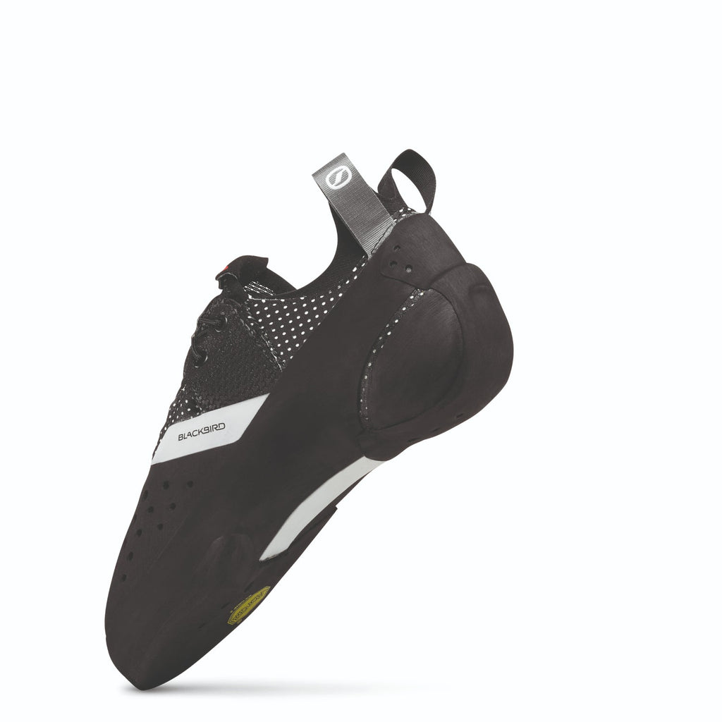 Scarpa Blackbird