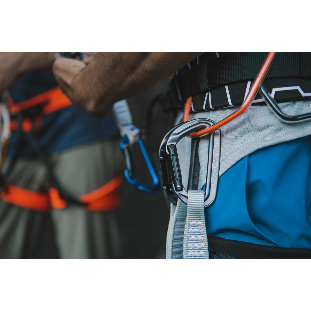 Mammut Workhorse Keylock Quickdraw