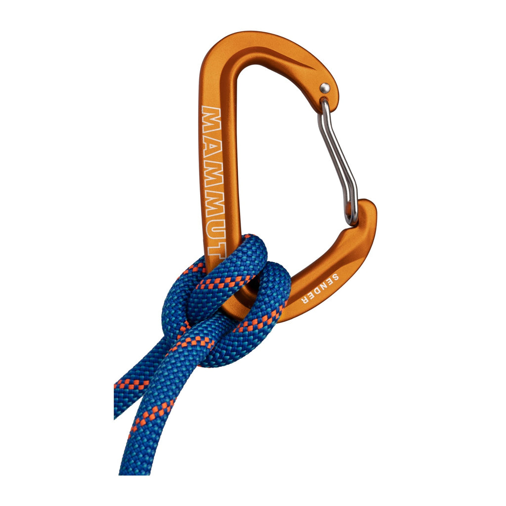 Mammut Sender Wire Carabiner
