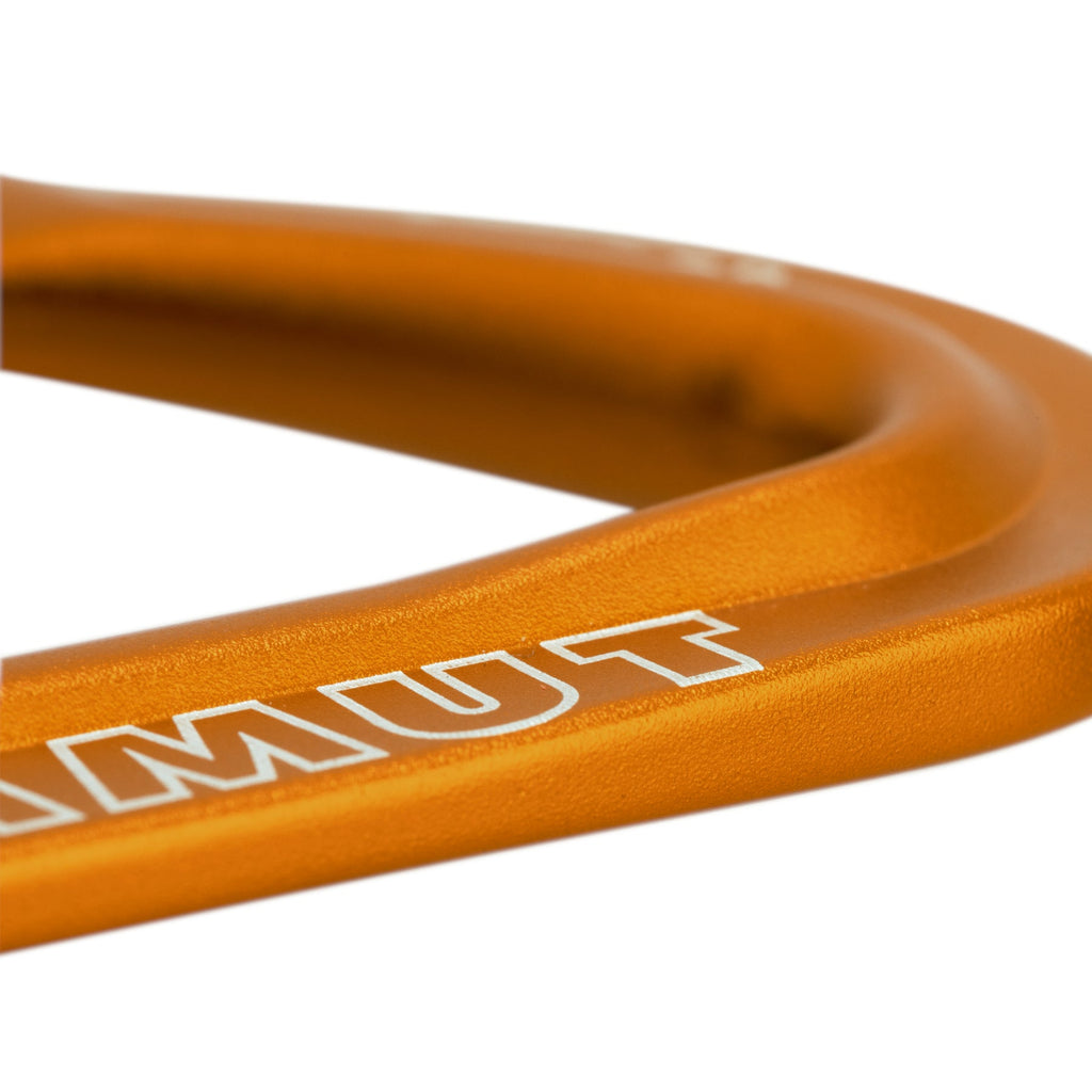 Mammut Sender Wire Carabiner